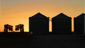 ‘I’ states farmland acres fall