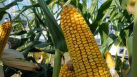 Manage nitrogen on your farm