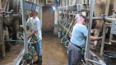 Milking system designed for efficiency