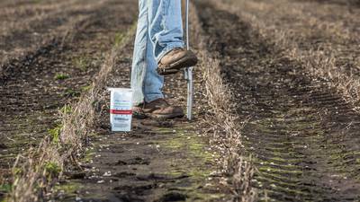 5 crop nutrition strategies to maximize ROI