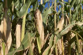 Indiana crop progress for week ending Aug. 31