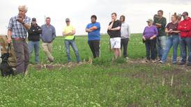 ISU researching unique cover crop option