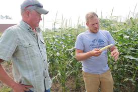 From the Fields: ‘Wheat was exceptional’