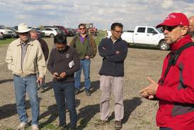 Cover crop trials include N, P efficiency