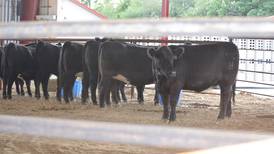 Rangeland important for conservation