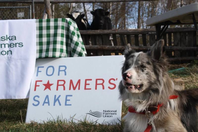 National Farmers Union members held a Week of Action in Washington, D.C., to advocate for farmer interests in the farm bill.