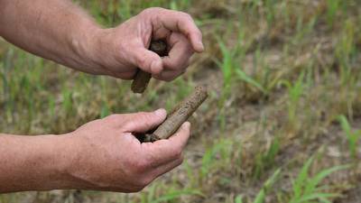 Soil sampling program available for Hoosier farmers