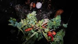 Still unsure about composting? Here’s why and how to make ‘black gold’ for the garden