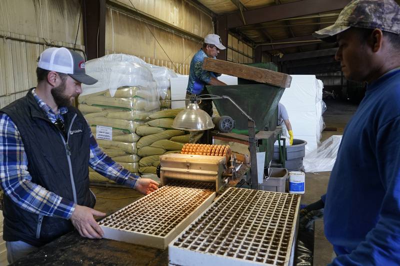 Fernando Osorio Loya (center), a contract worker from Veracruz, Mexico, stirs soil for a seeding machine as Jamie Graham (left) and Fredy Osorio (right), also a contract worker from Veracruz, Mexico, unload trays of seeded tobacco at a farm in Crofton, Kentucky.