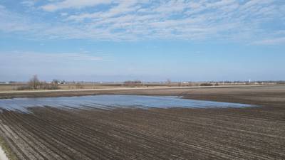 Why are there so many ponded farm fields?