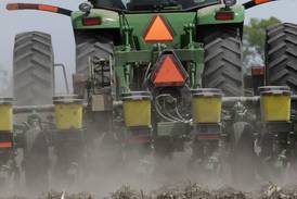 Aim for optimum planting depth