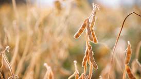 Drought relief brings unique happenings