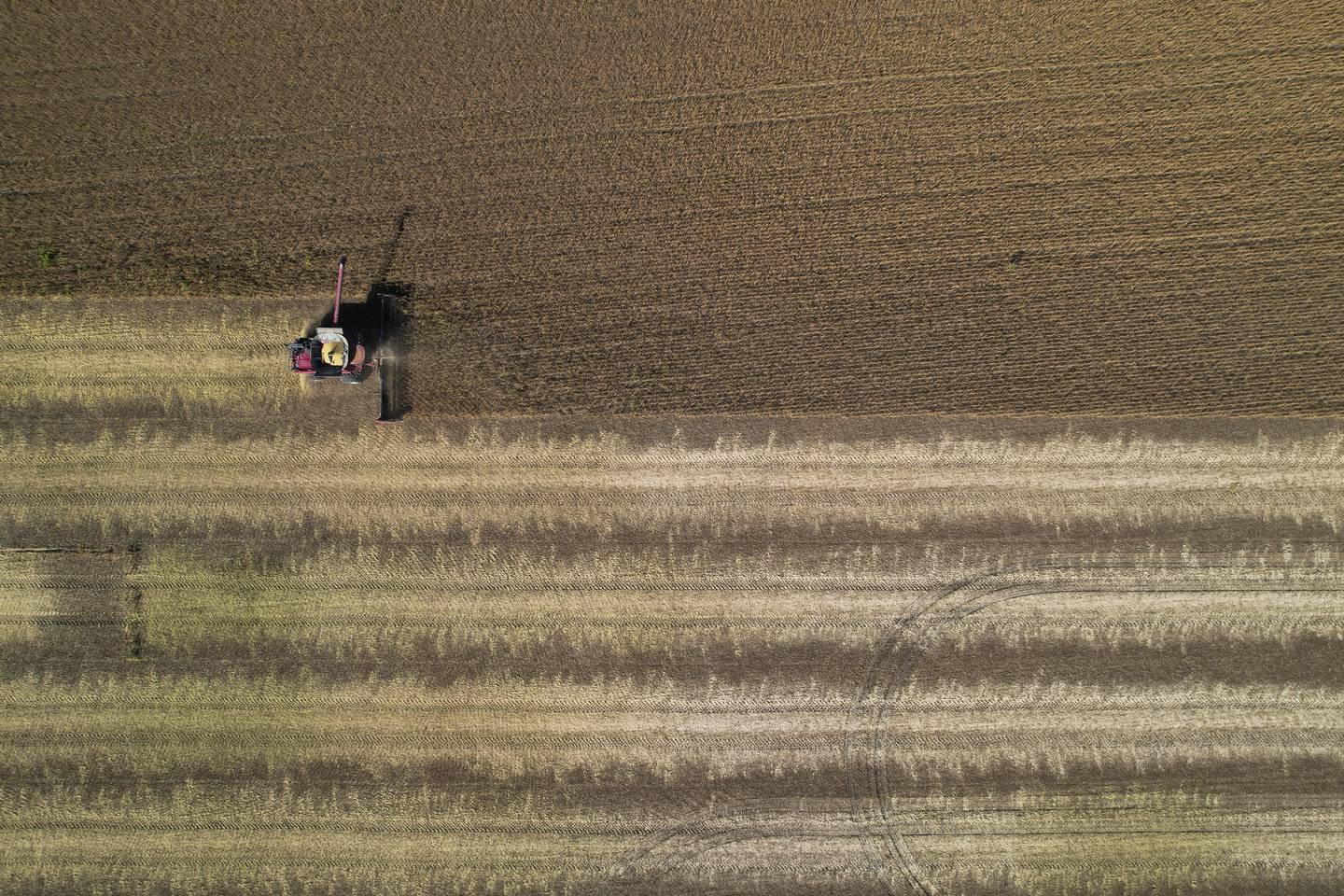 A combine harvests soybeans at a farm near Allerton, Illinois.
