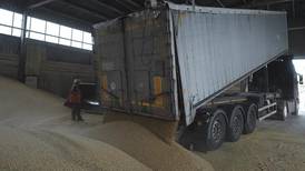 Ukraine welcomes EU deal on continued farm exports