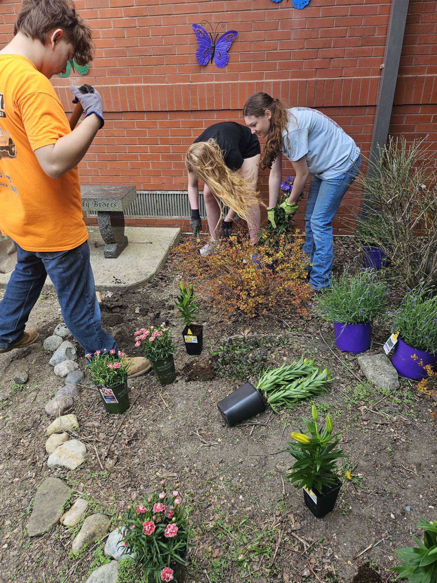 Heyworth FFA members work in the butterfly garden at the elementary school to keep the area looking nice. This space provides the opportunity for kids to go outside and read.
