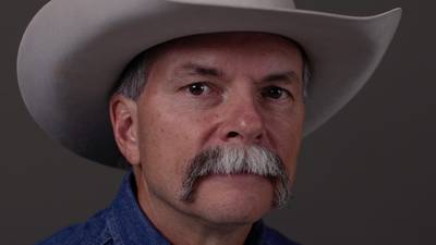 Has the beef market failed?