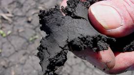 Is your soil ready for planting?