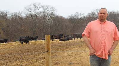 Angus herd focused on developing cattle with longevity and product merit