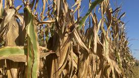 Indiana crop progress for week ending Sept. 21