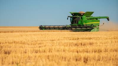 Best practices for wheat