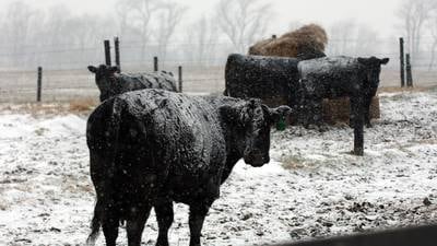 Farmers need a financial boost