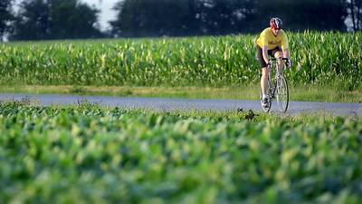 Lower production: USDA updates crop balance sheets