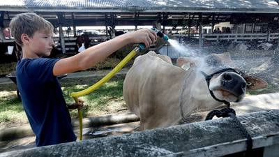 Illinois county fairs