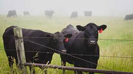 Expand your knowledge of regenerative agriculture at Dudley Smith Farm Field Day