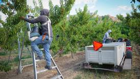 The Zipline: Farmers come to Capitol Hill to call for ag labor reform