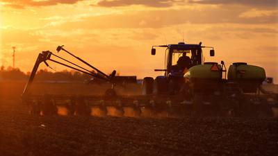 Swing to more soybeans in USDA crop forecast