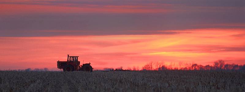 A farmer cultivates his field in the central Illinois town of Farmingdale.