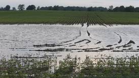 New Ag Climate Dashboard makes climate resources more accessible for Midwest farmers