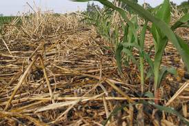 Conservation survey shows farmer commitment to soil health