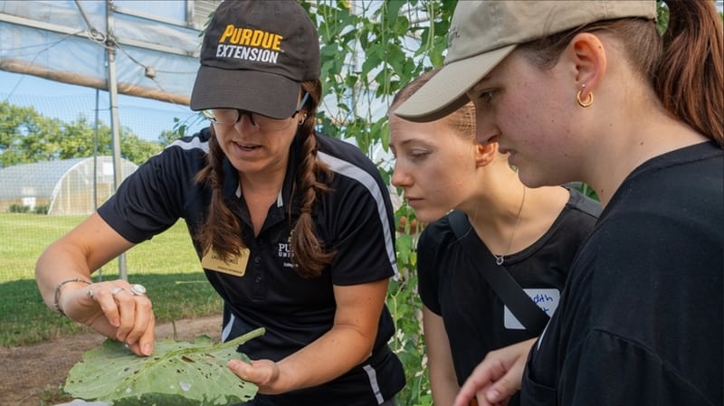 Purdue Extension specialist Laura Ingwell shows attendees the effects of pest damage on crops.