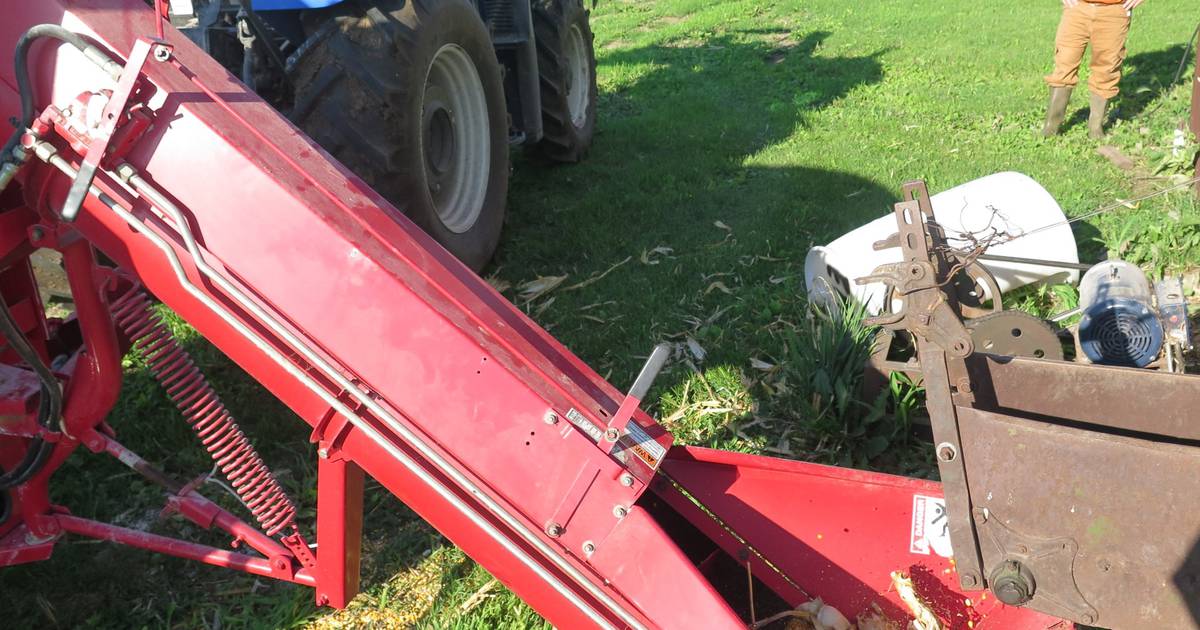 From the Fields Ear corn grinding day AgriNews