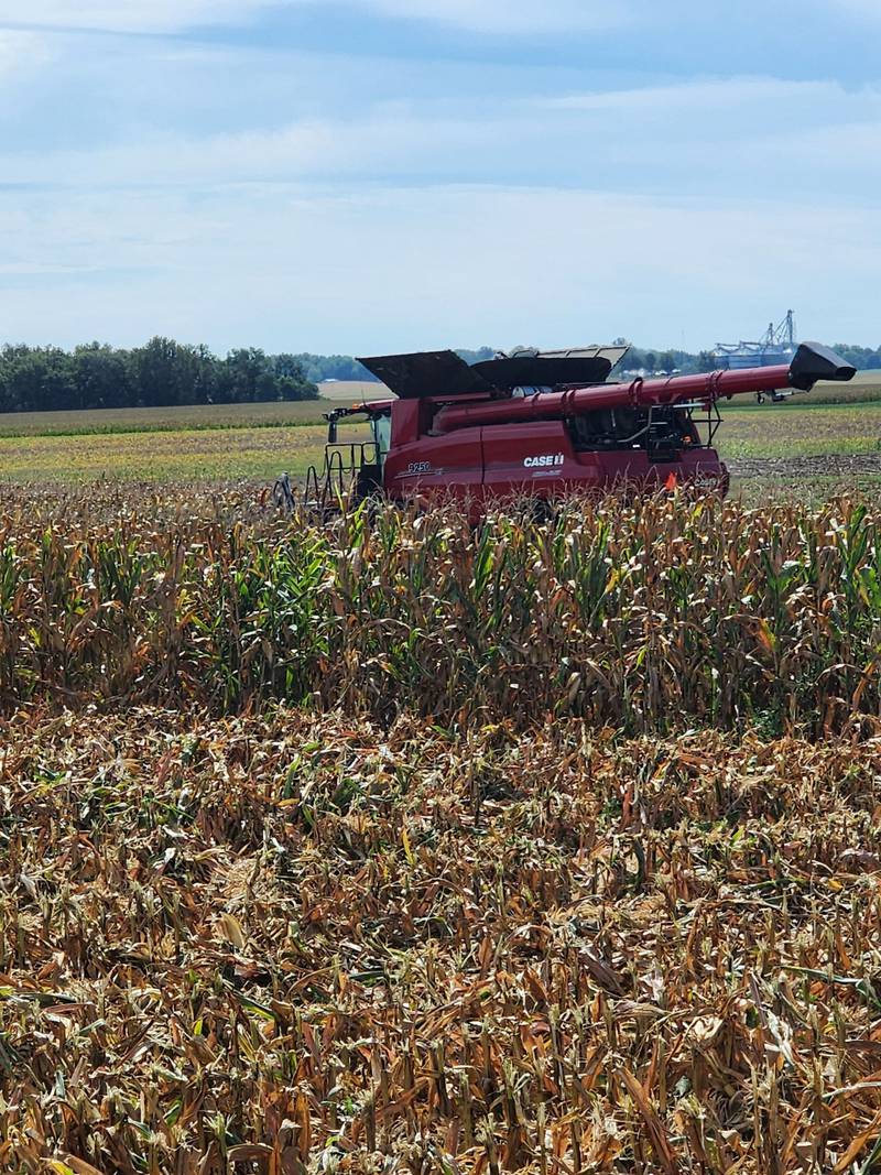Mark Seib, a farmer from southern Indiana, shares a From the Fields update with AgriNews.