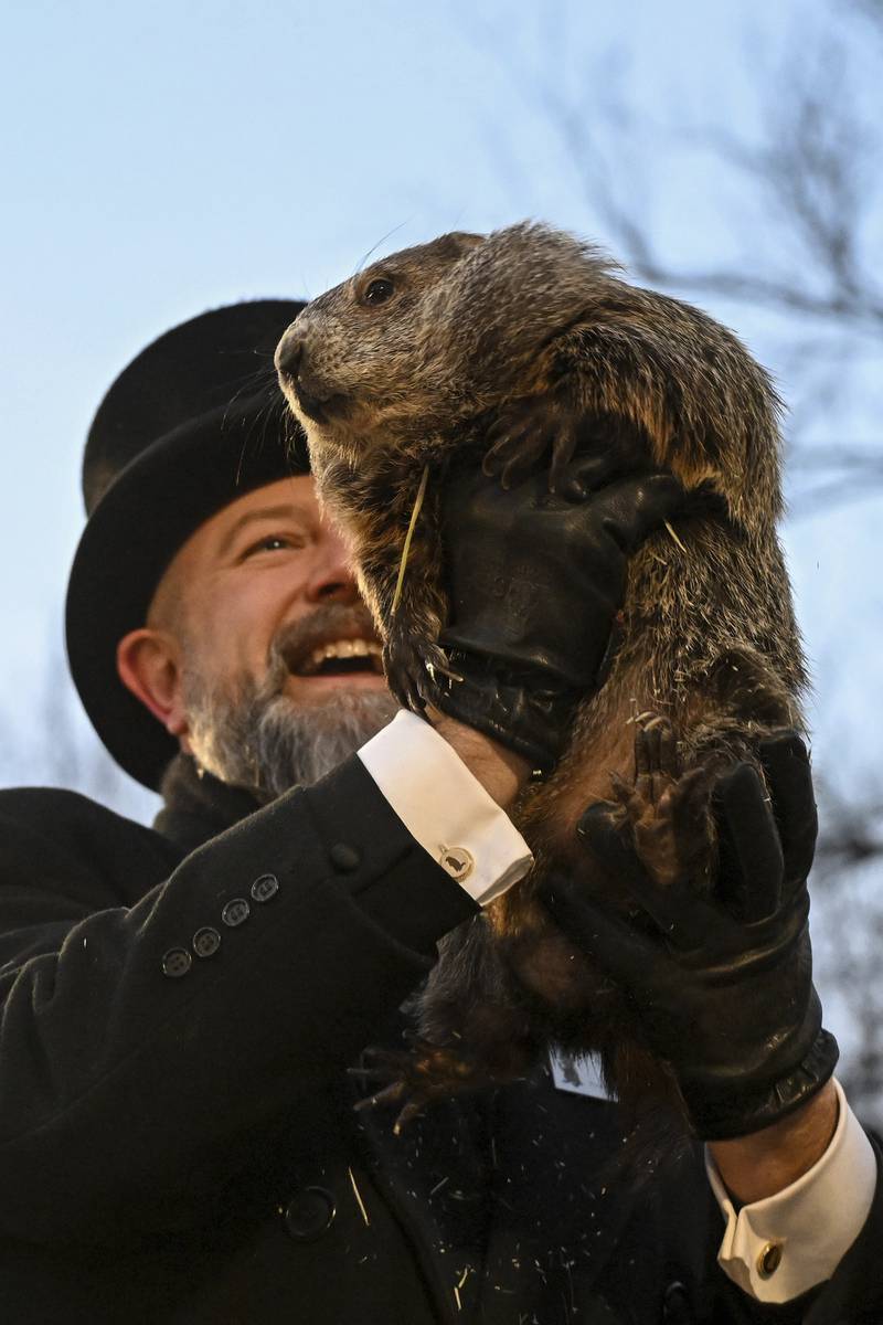 Punxsutawney Phil, who saw his shadow on Feb. 2 and predicted six additional weeks of winter, has gotten his Groundhog Day predictions right just 30% of the time during the past decade, according to the National Oceanic and Atmospheric Administration.