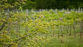 Meet the Indiana Winery and Vineyard Association
