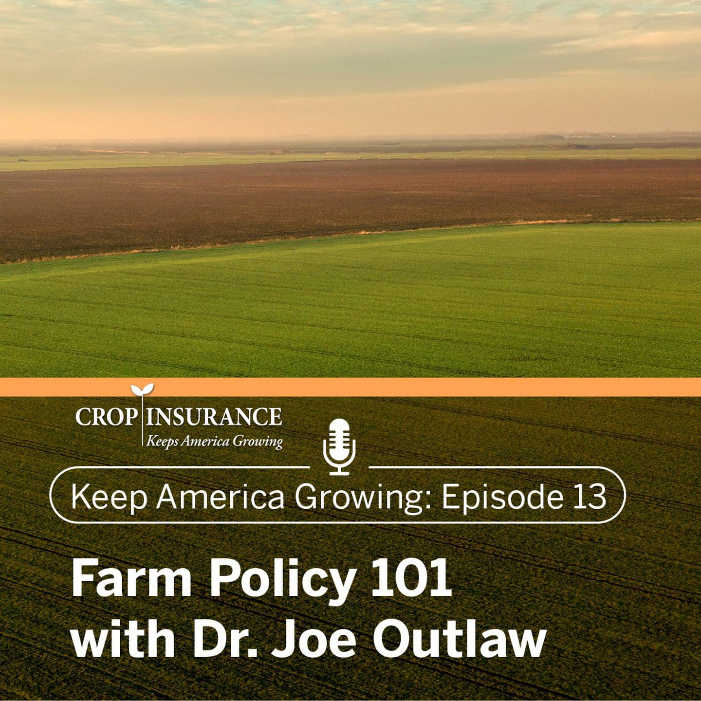 Joe Outlaw, a professor and extension economist at Texas A&M, joins Keep America Growing host Tom Zacharias to discuss crop insurance, farm policy and why an ag safety net benefits all who enjoy food, fuel, fiber and other ag products. Listen to their conversation on the latest podcast from National Crop Insurance Services at https://tinyurl.com/Keep-America-Growing.