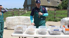 Opportunities for research, learning at U of I dairy farm
