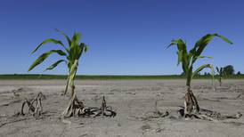 39 Illinois counties designated disaster areas