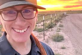 Organize maternity pen procedures to improve cattle care