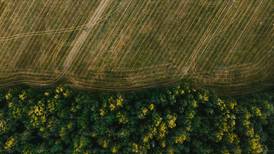 Indiana farmland values up