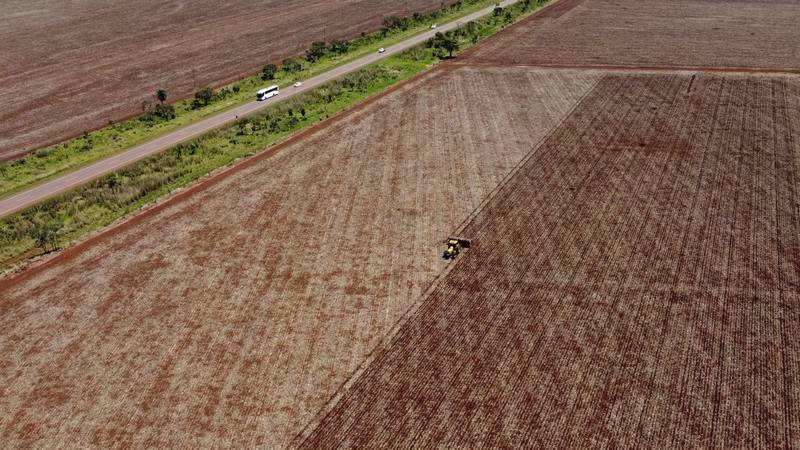 Soybeans are planted on a farm in a rural area of Sidrolandia, Mato Grosso do Sul state, Brazil.