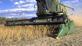 Benefits and risks of planting soybeans early