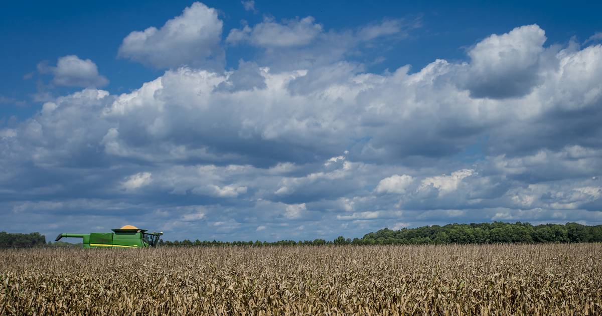 Indiana farmland prices up, Purdue survey shows
