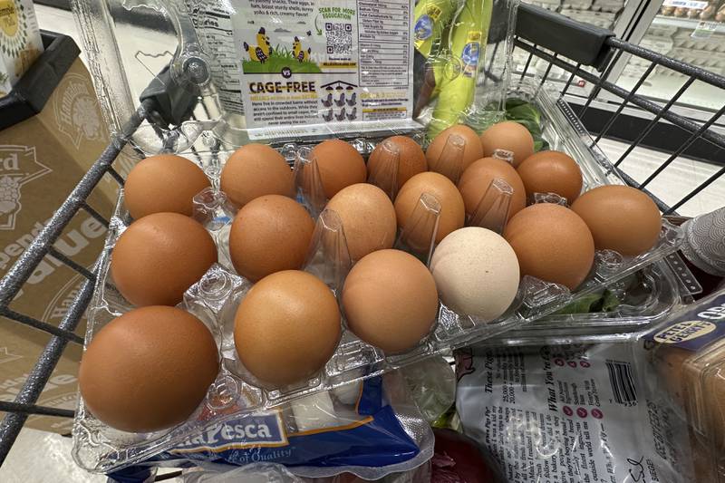 Eggs sit in a container in a shopping cart at grocery store.