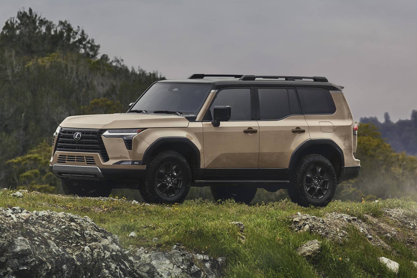 The GX 550 by Lexus is a luxurious SUV with serious off-road capabilities.