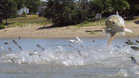 Worries over racism, waterways inspire push to rename fish