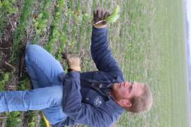 From the Fields: Cover crops may help increase soil moisture